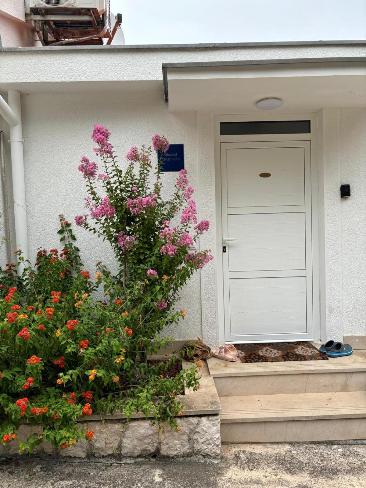 Viducic Apartments Dragove Bagian luar foto